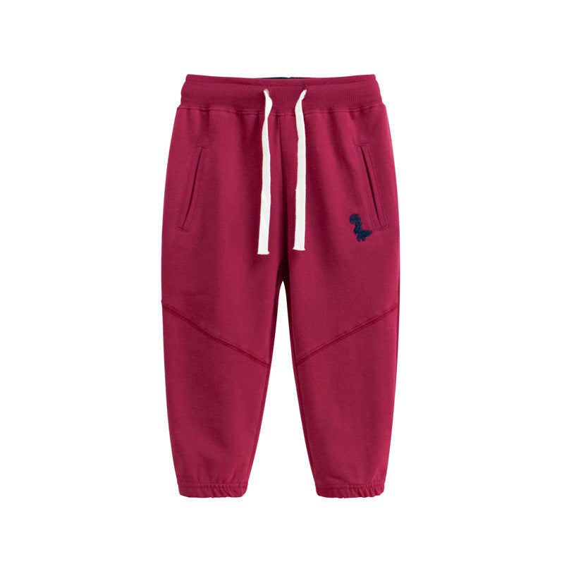 Dinosaur Sweatpants - Kidnor