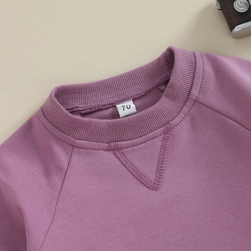 0-36months Baby Clothes Sets Pullover-Pants for Boys And Girls